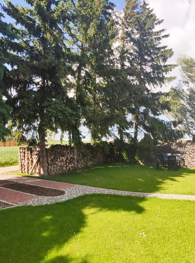 Ferienhaus Dobberzin Nahe Muendesee آنغرمونده المظهر الخارجي الصورة